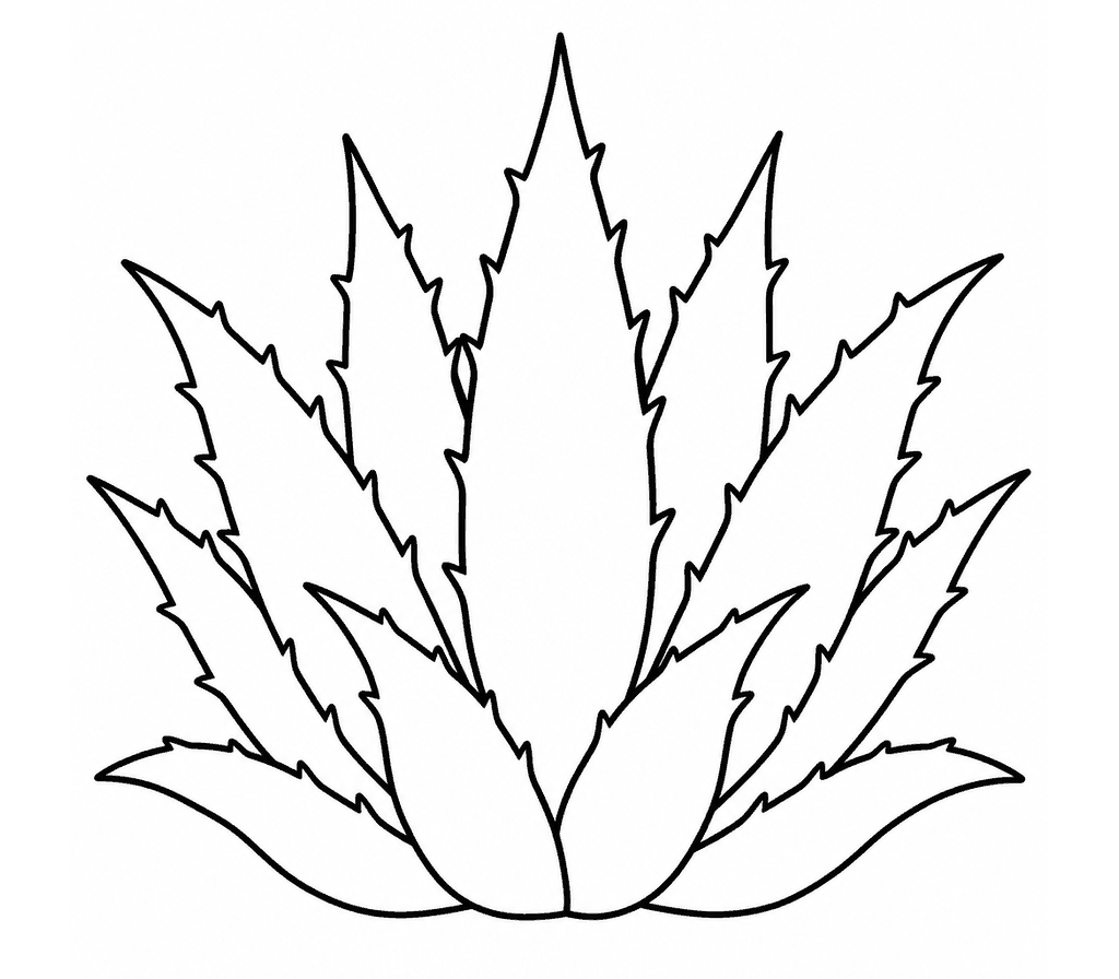 Agave coloring page