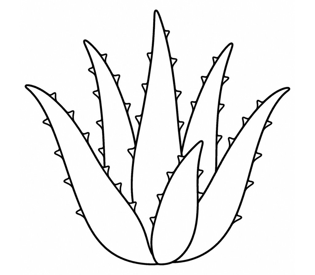 Aloe Vera coloring page