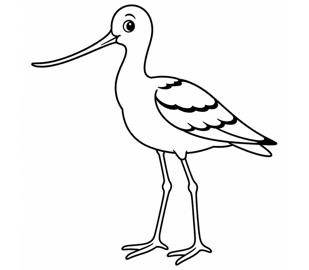American Avocet coloring page