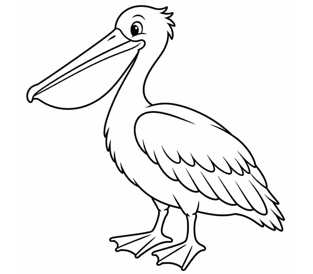 American White Pelican coloring page