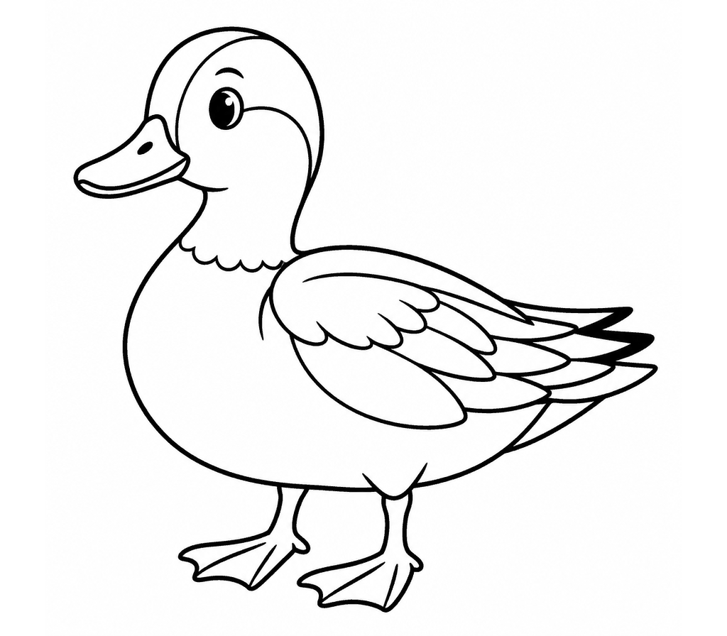 American Wigeon coloring page
