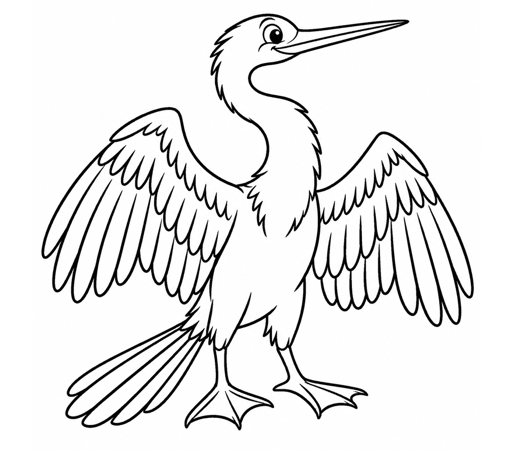 Anhinga coloring page