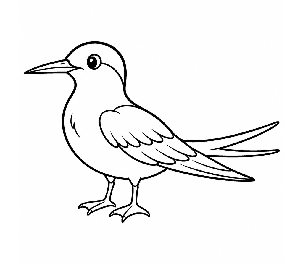 Arctic Tern coloring page