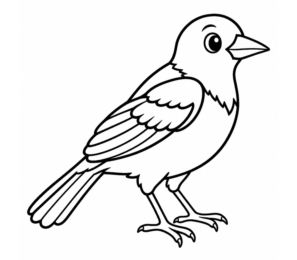 Baltimore Oriole coloring page
