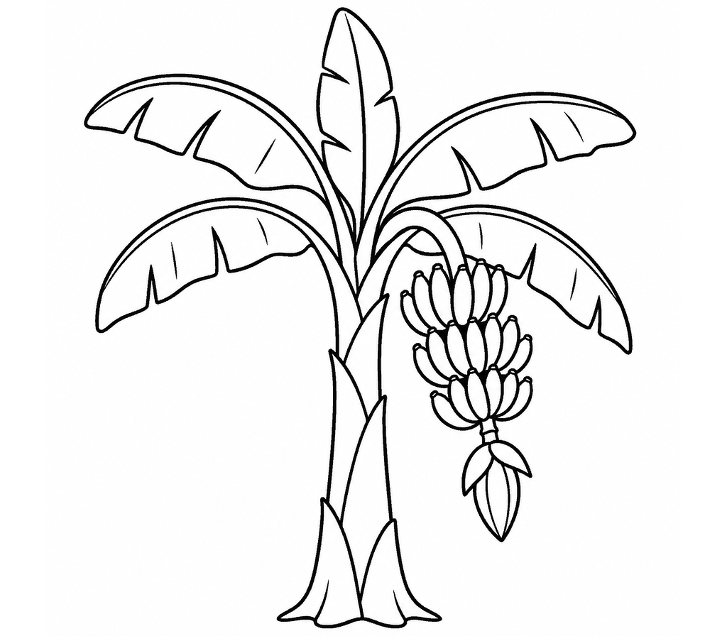 Banana Plant coloring page