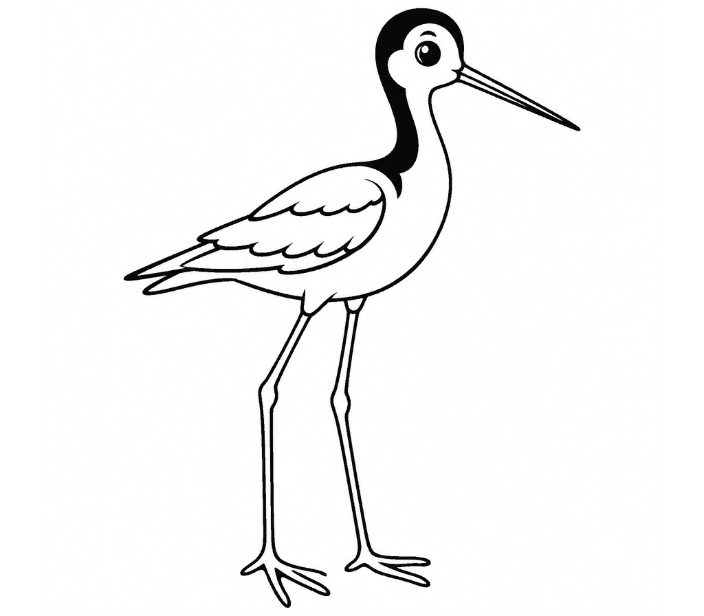 Black-necked Stilt coloring page