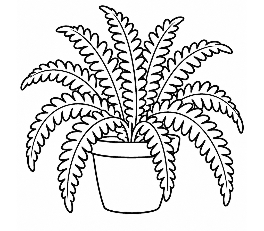 Boston Fern coloring page