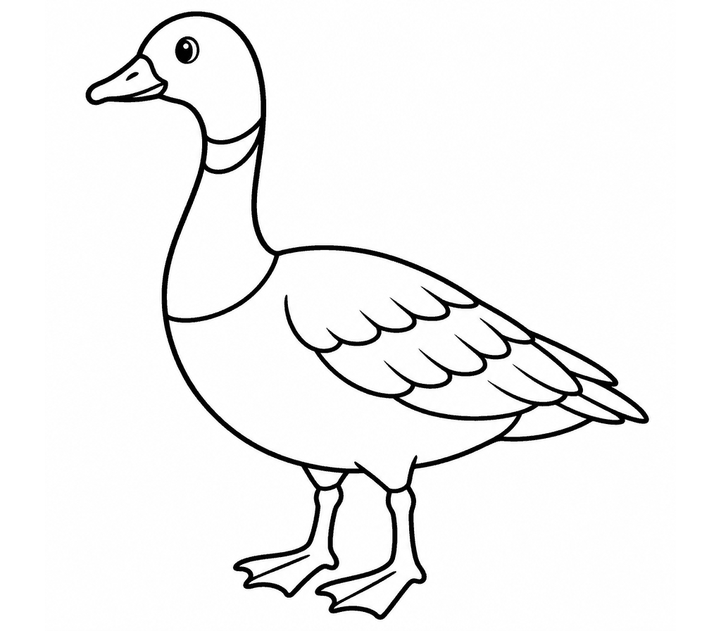 Brant coloring page