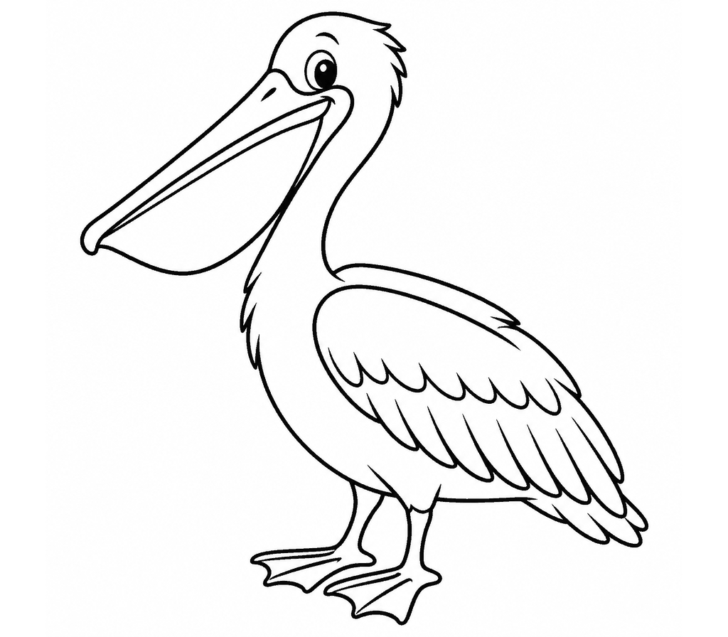 Brown Pelican coloring page