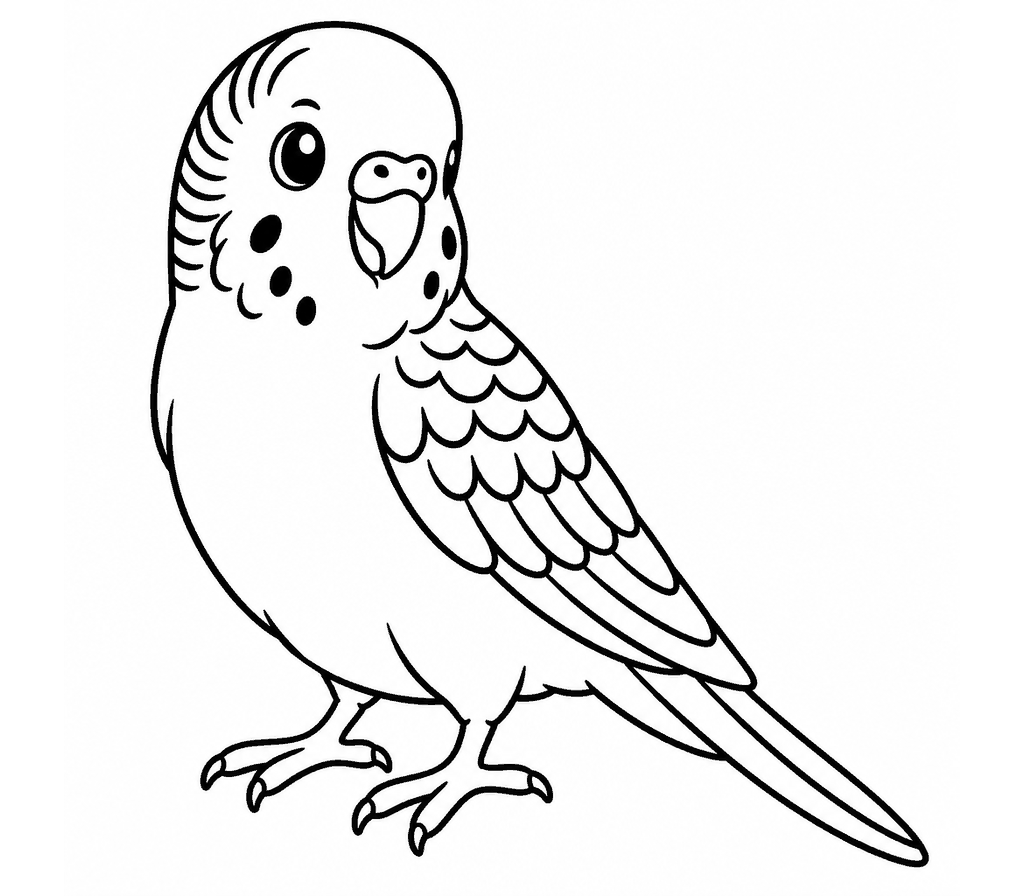Budgerigar coloring page