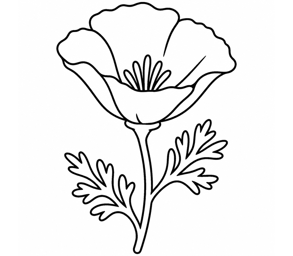 California Poppy coloring page