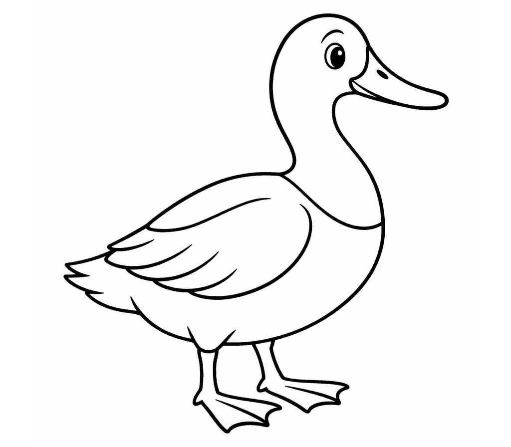 Canvasback coloring page
