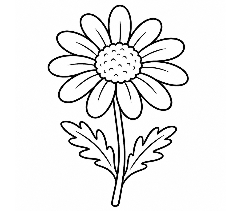 Chamomile coloring page