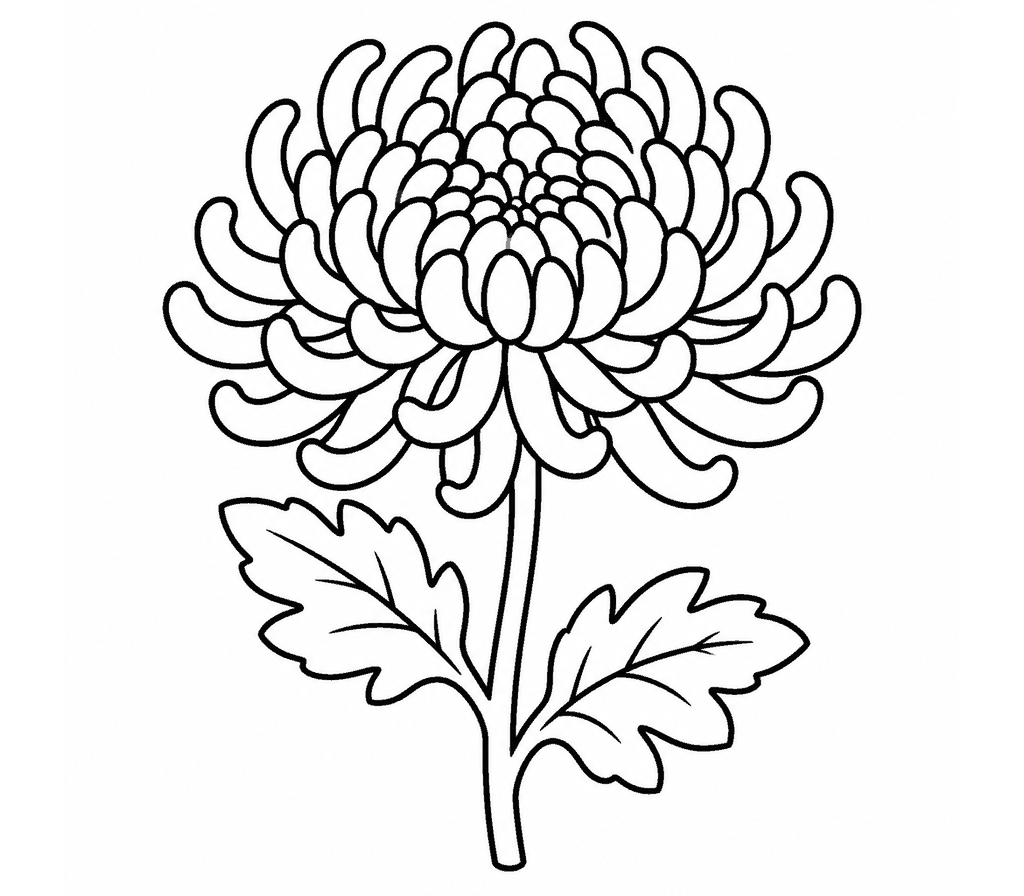 Chrysanthemum coloring page