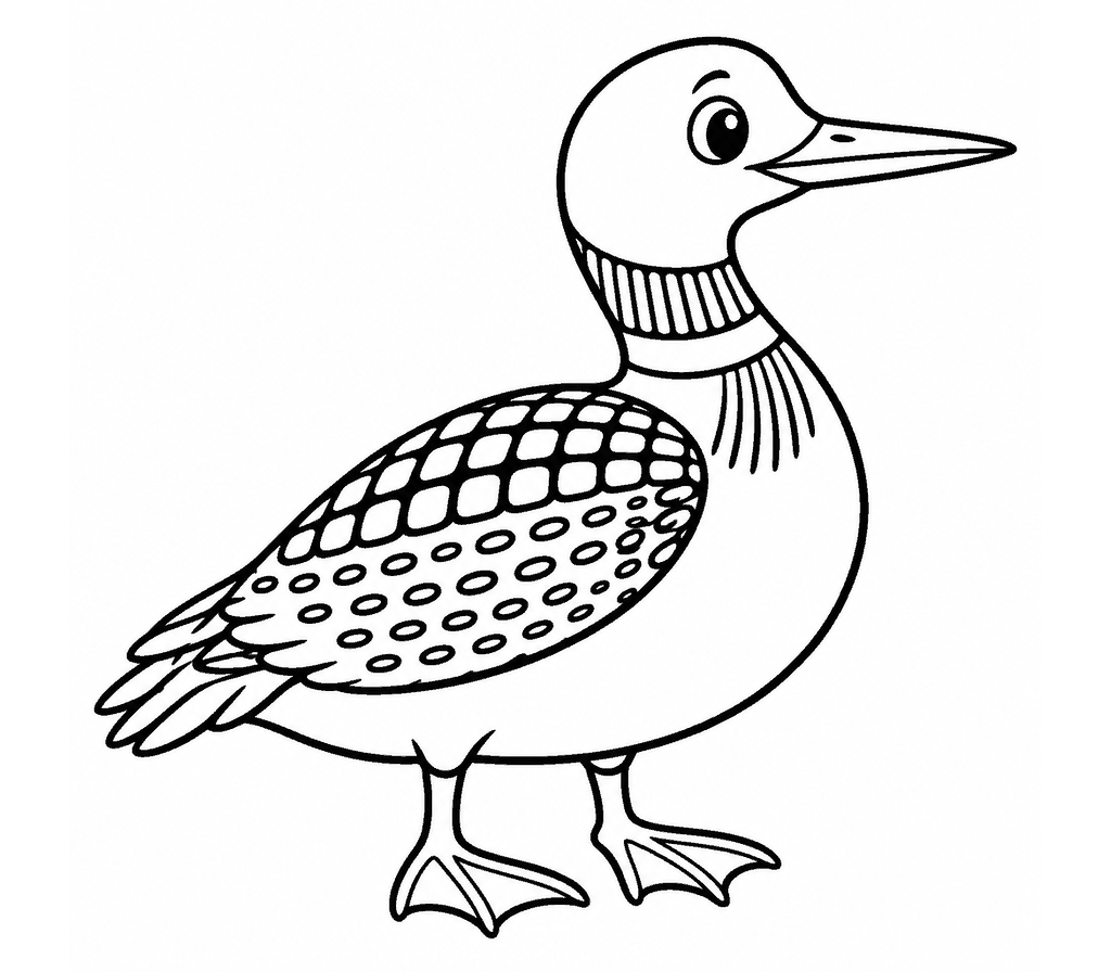 Common Loon coloring page