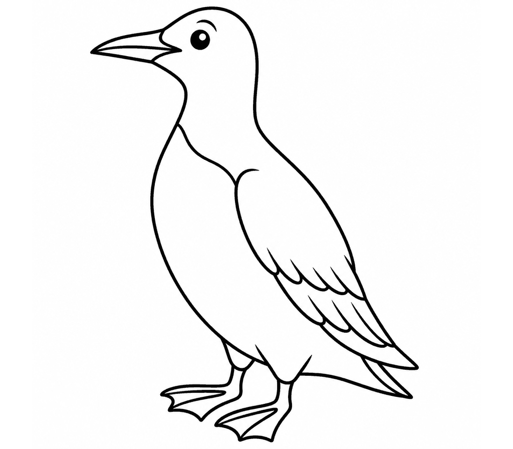 Common Murre coloring page