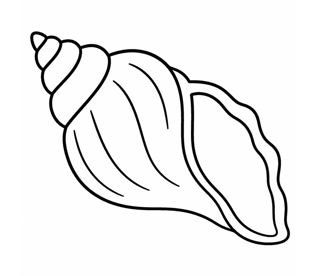 Conch coloring page
