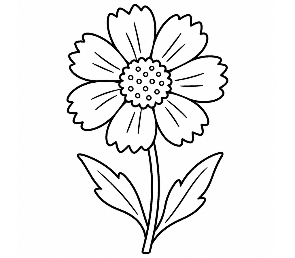 Coreopsis coloring page