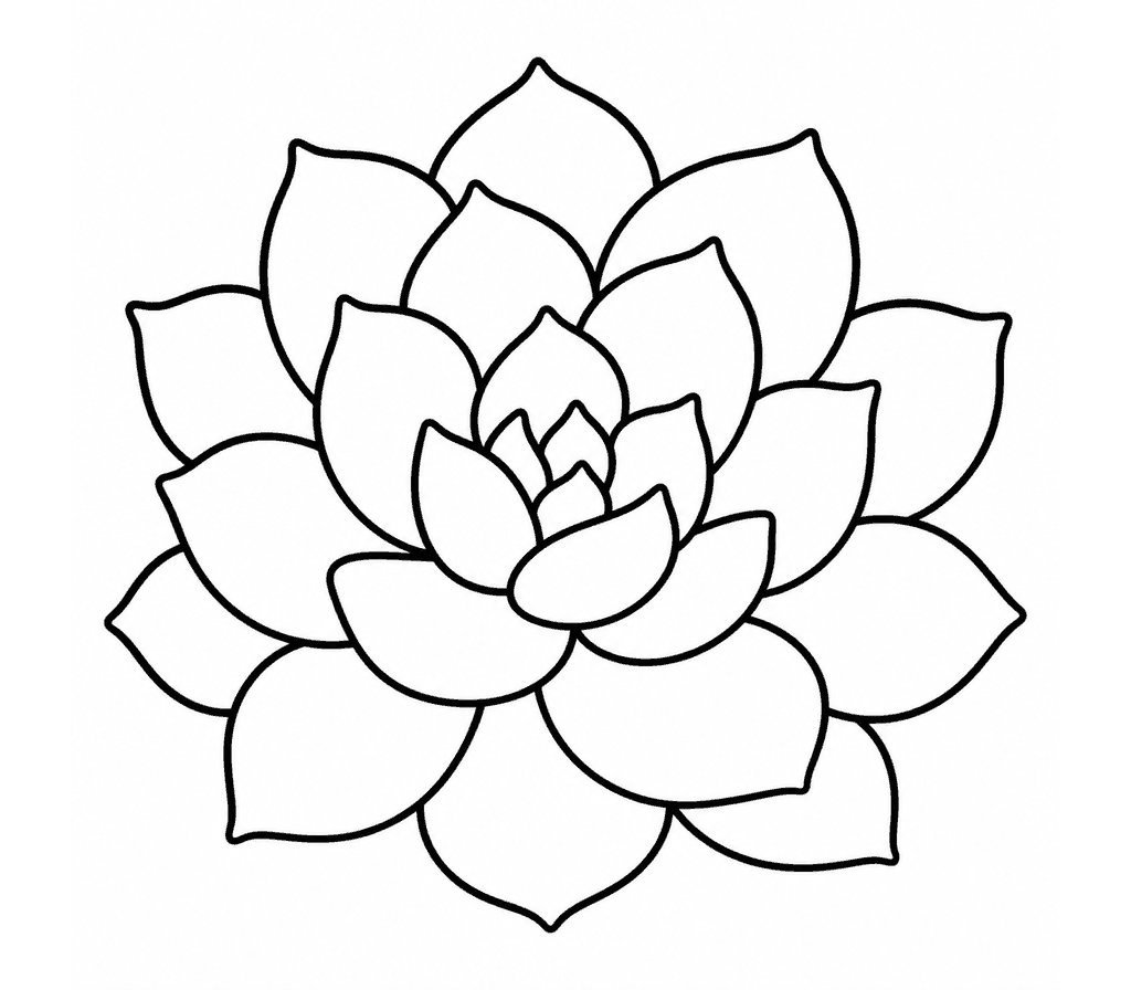 Echeveria coloring page
