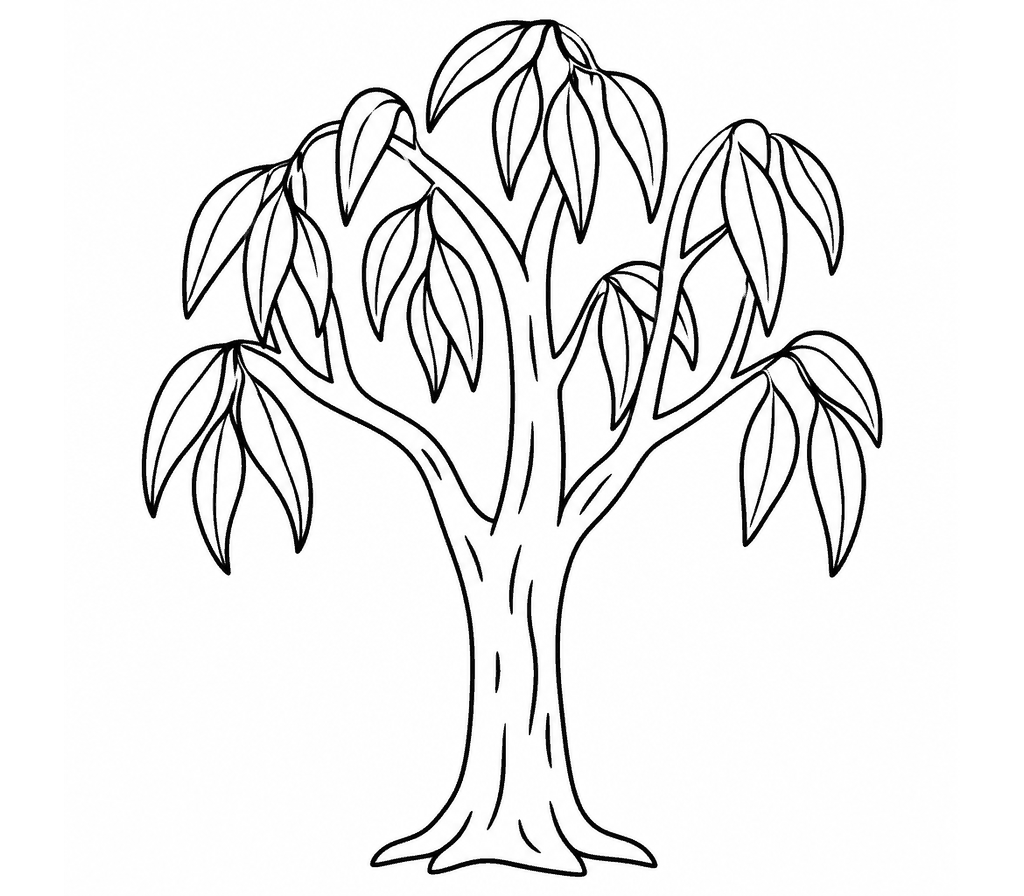 Eucalyptus coloring page