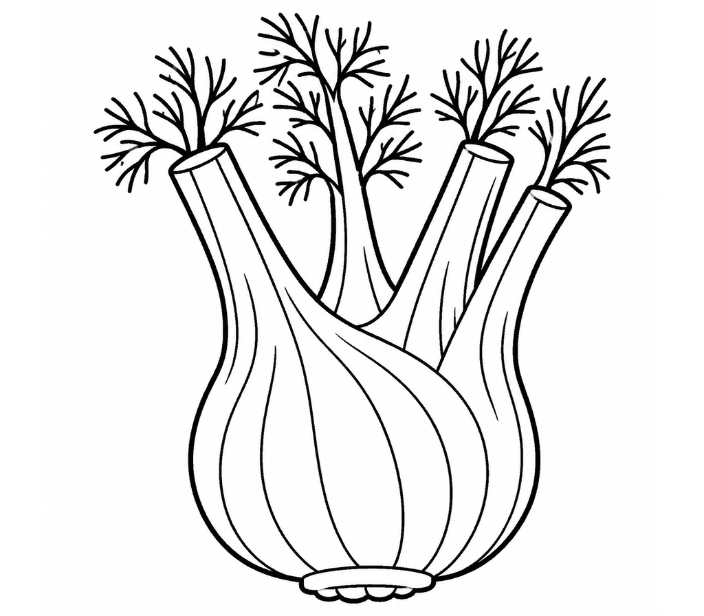 Fennel coloring page
