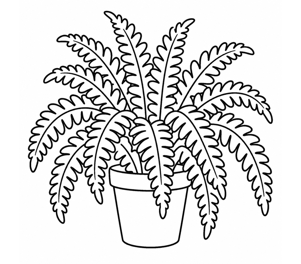 Fern (Boston) coloring page