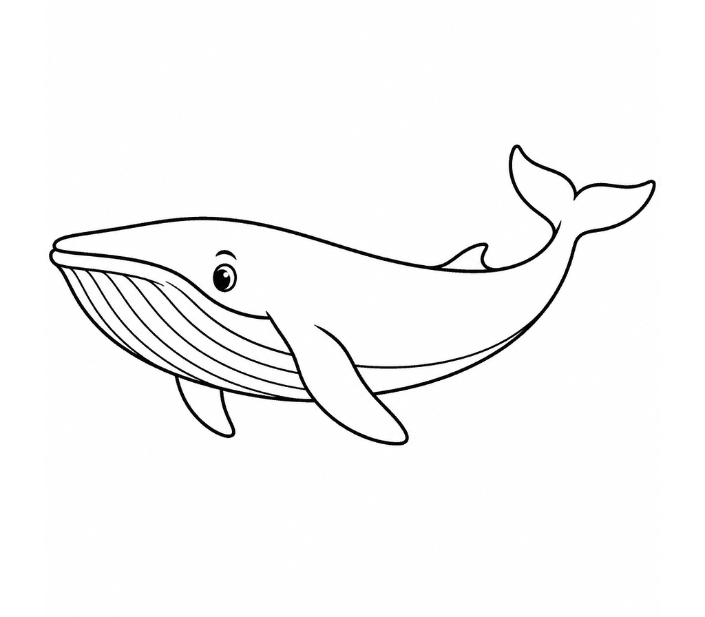 Fin Whale coloring page