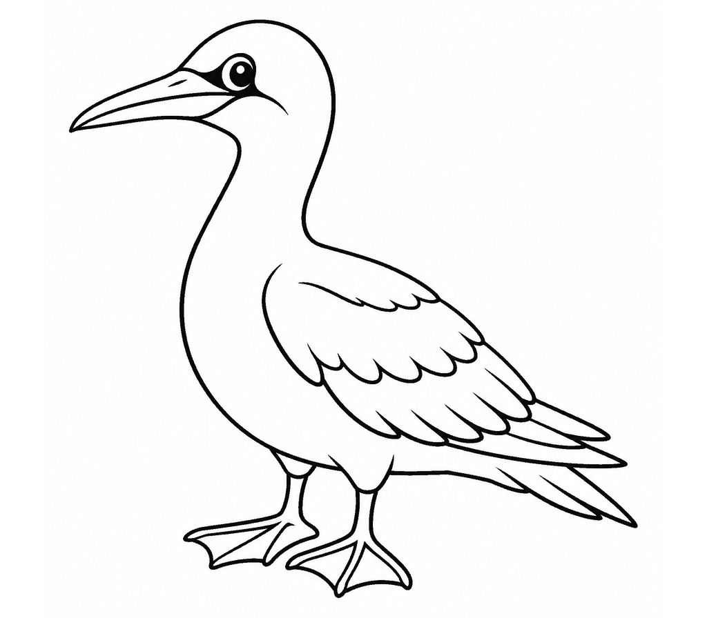 Gannet coloring page