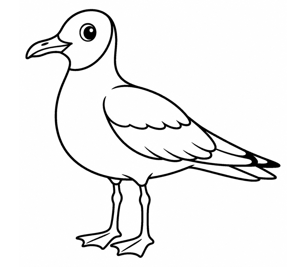 Gull (Black-headed) coloring page