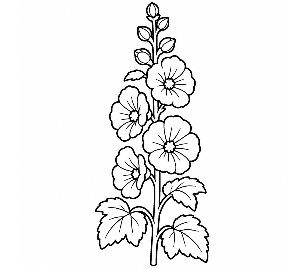 Hollyhock coloring page