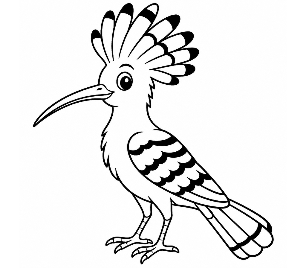Hoopoe coloring page