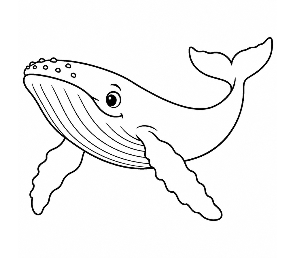 Humpback Whale coloring page