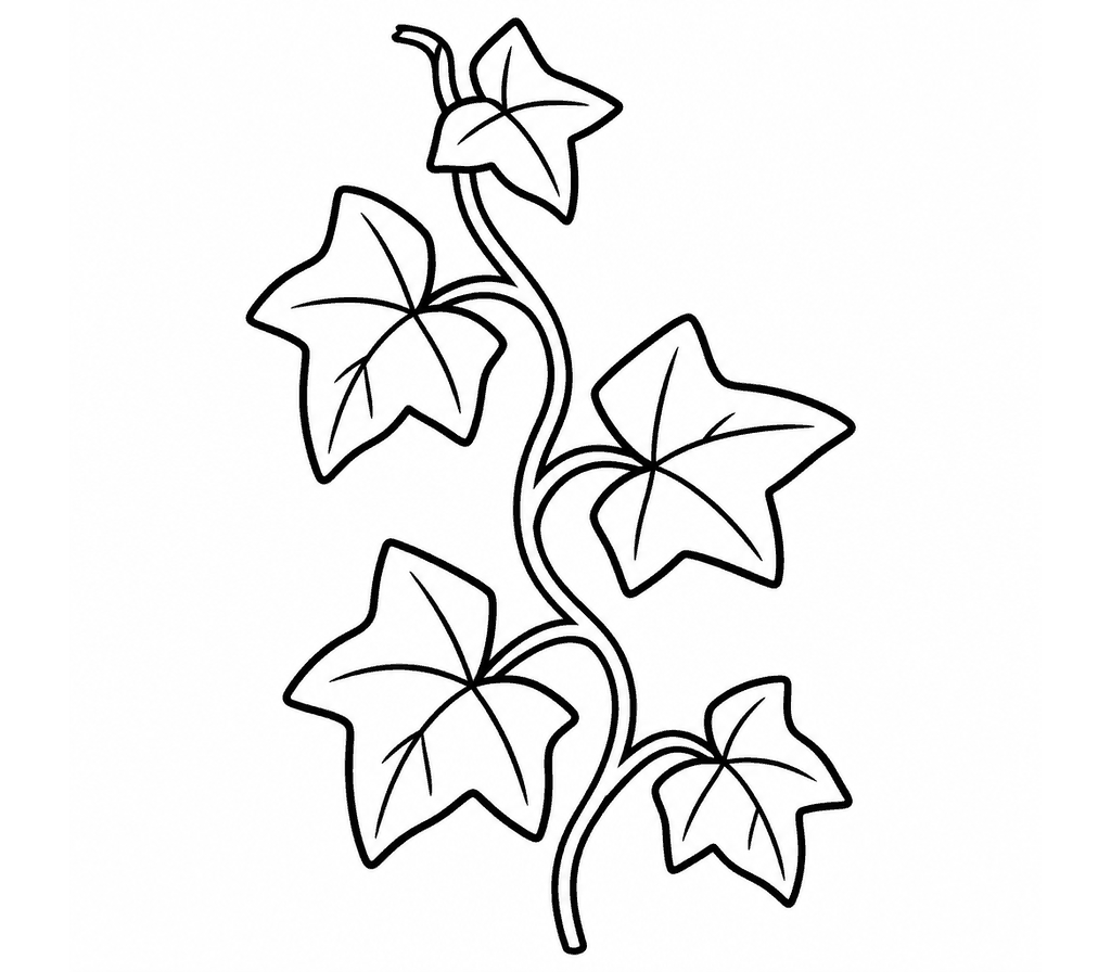 Ivy (English) coloring page