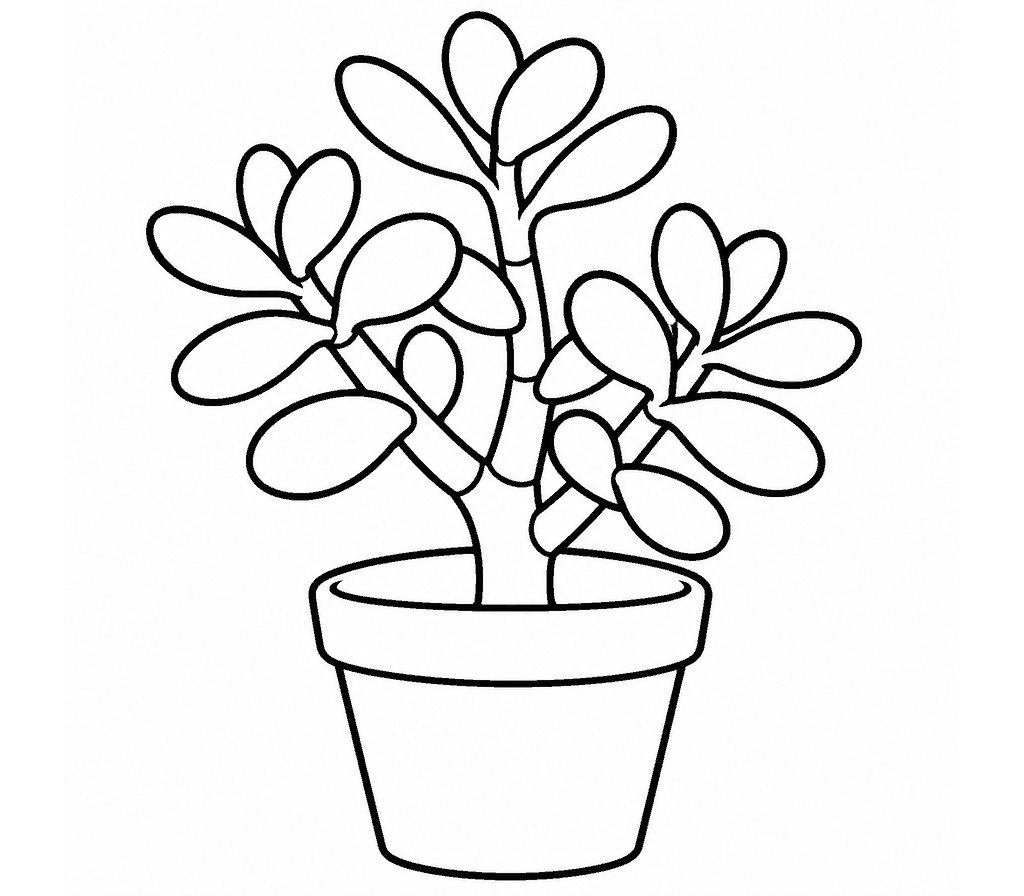 Jade Plant coloring page