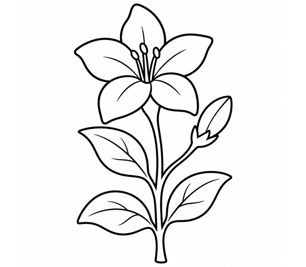 Jasmine coloring page