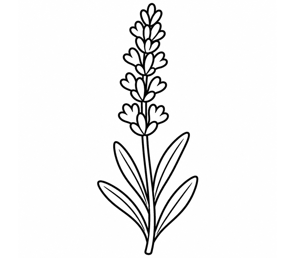 Lavender coloring page