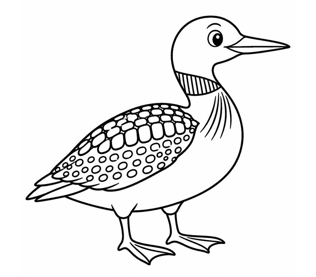 Loon (Common) coloring page