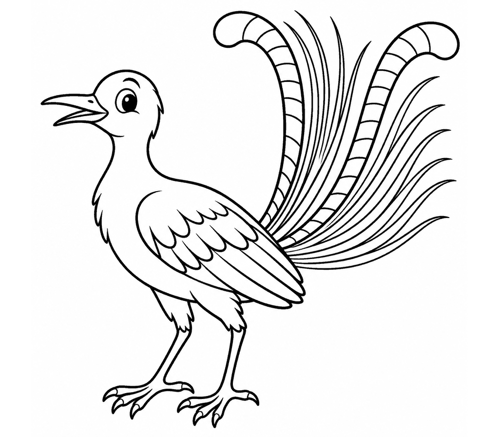 Lyrebird coloring page