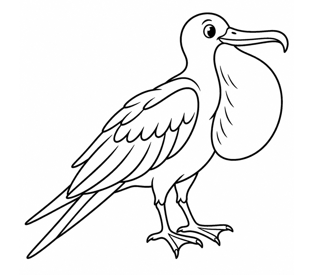 Magnificent Frigatebird coloring page