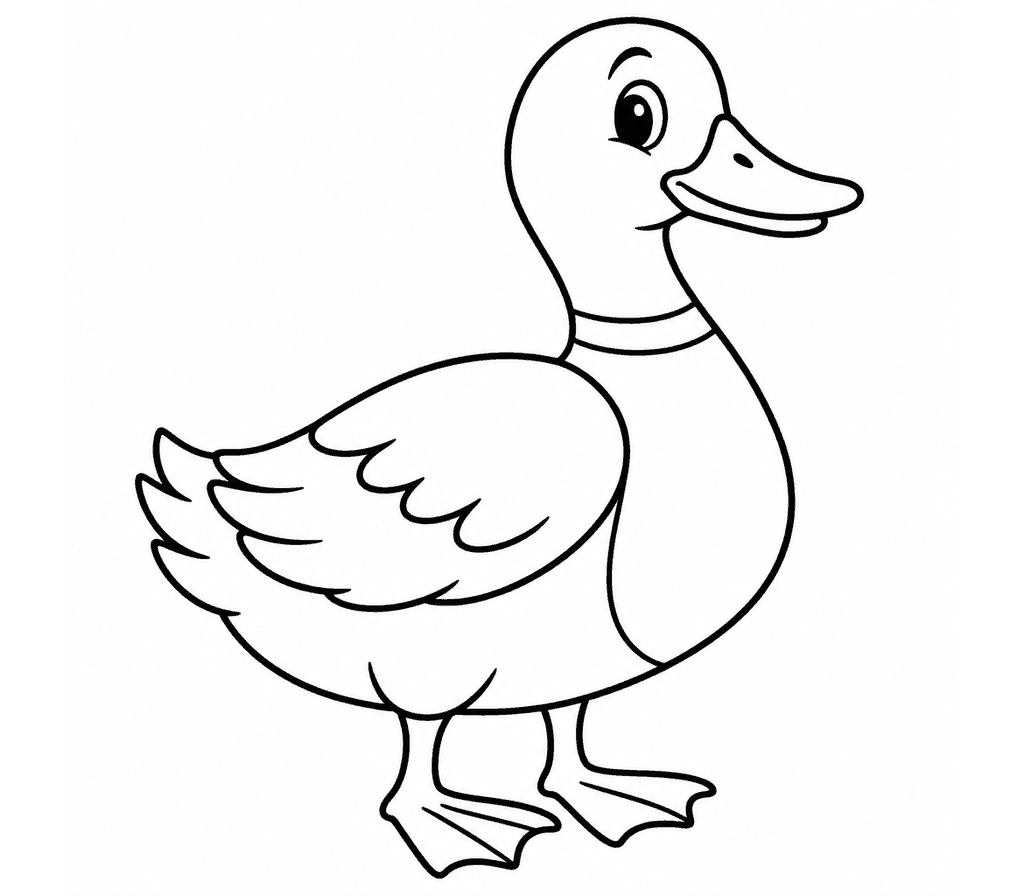 Mallard coloring page