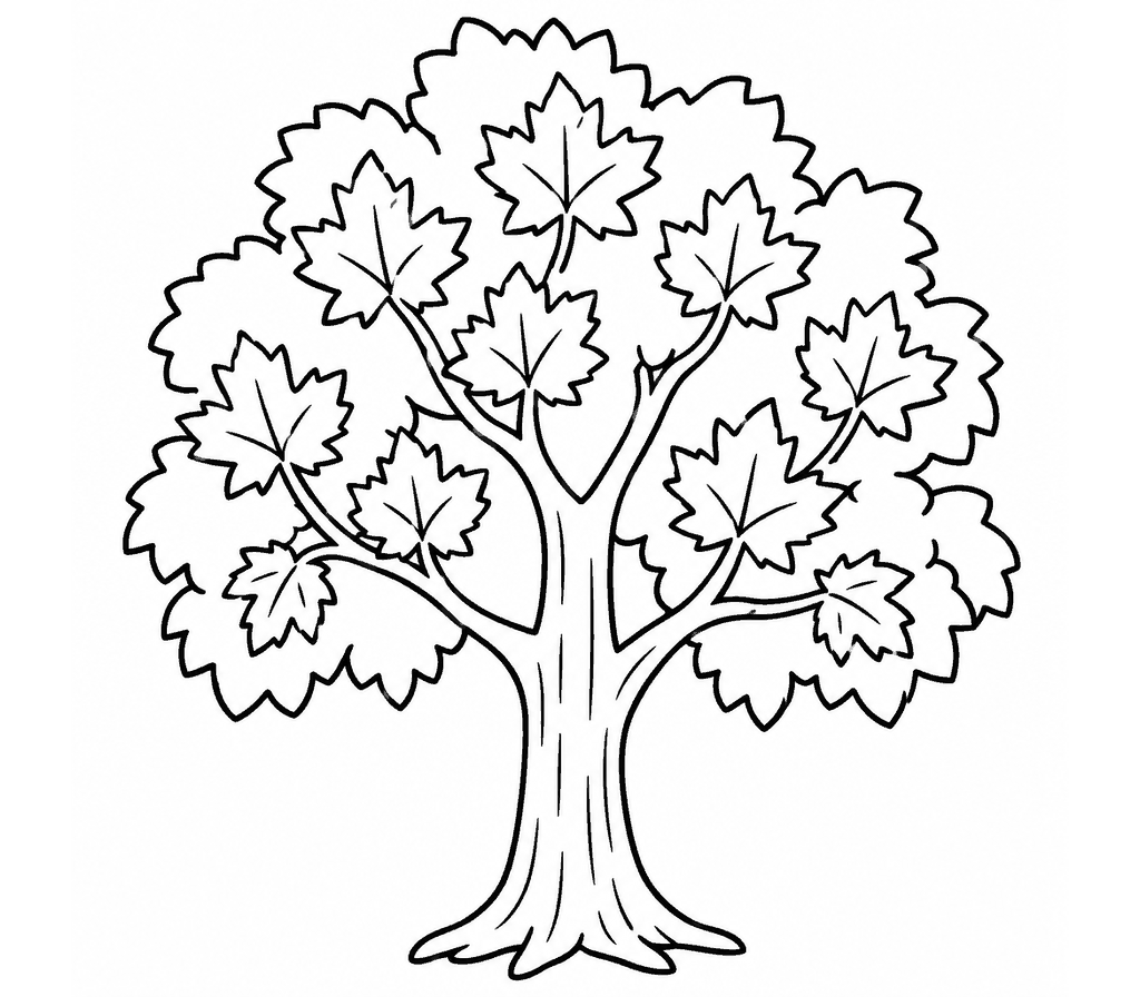 Maple Tree (Sugar) coloring page