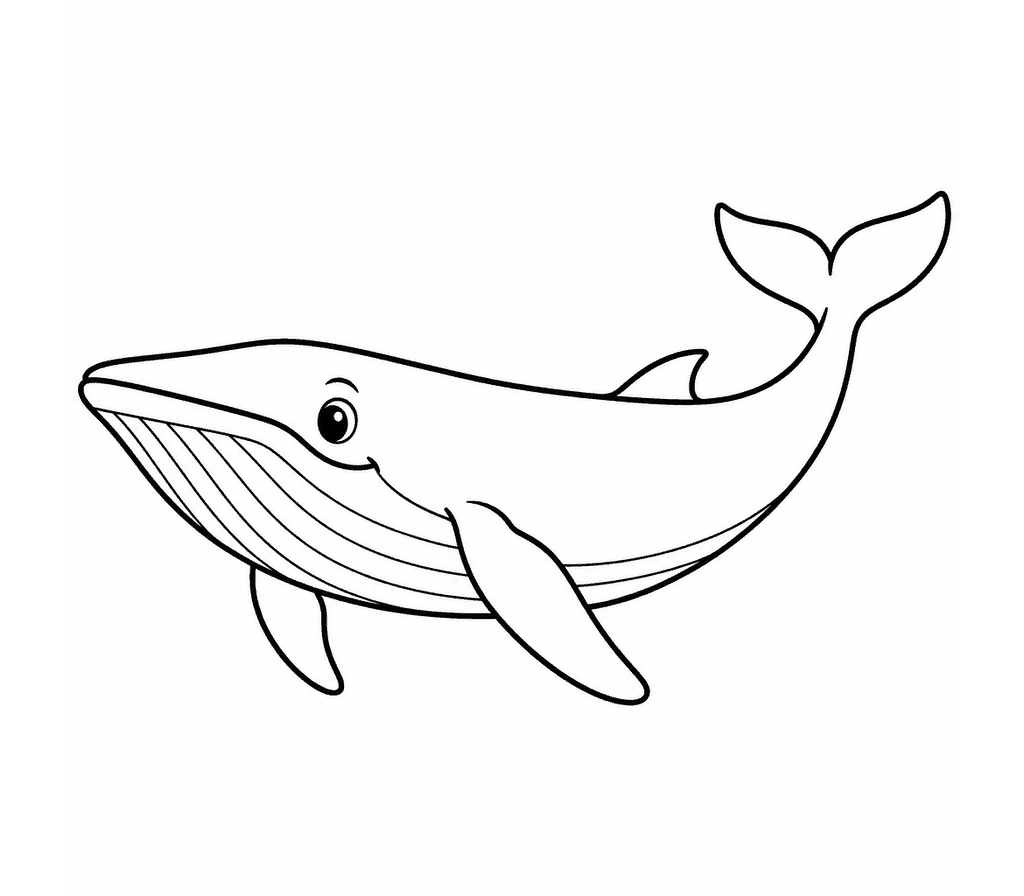 Minke Whale coloring page
