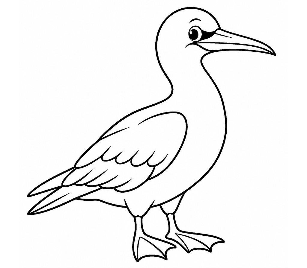 Northern Gannet coloring page