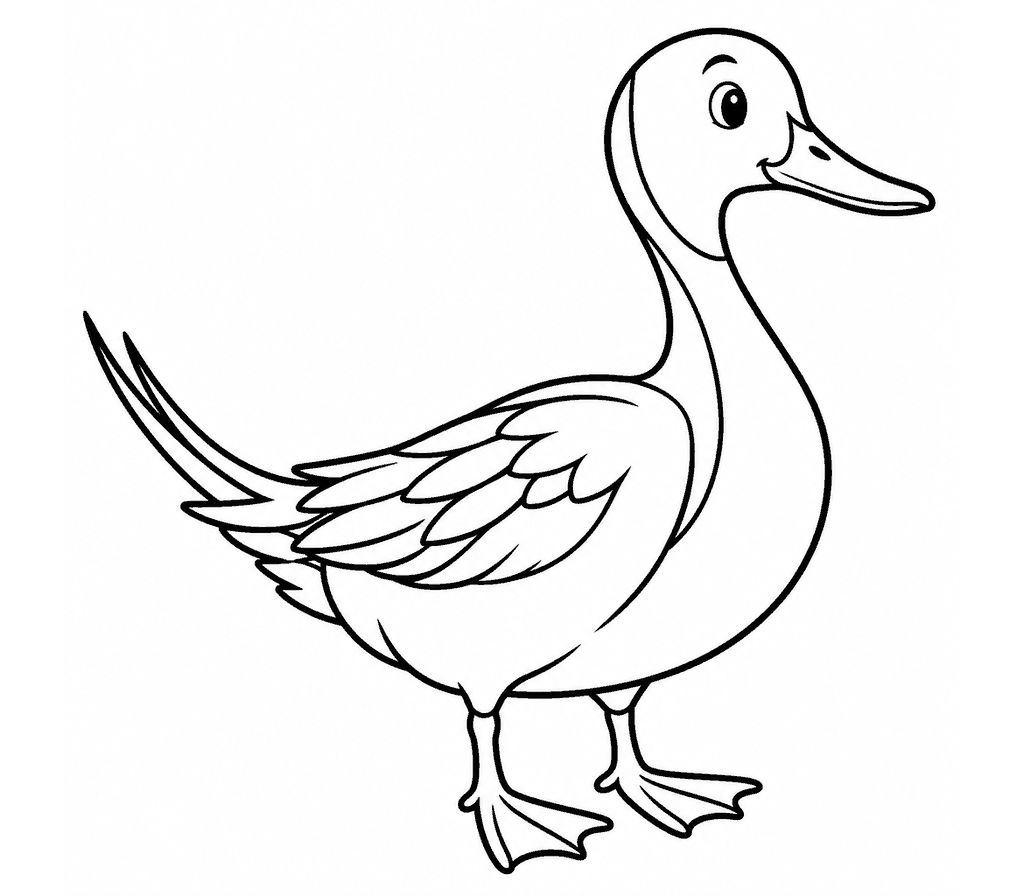 Northern Pintail coloring page