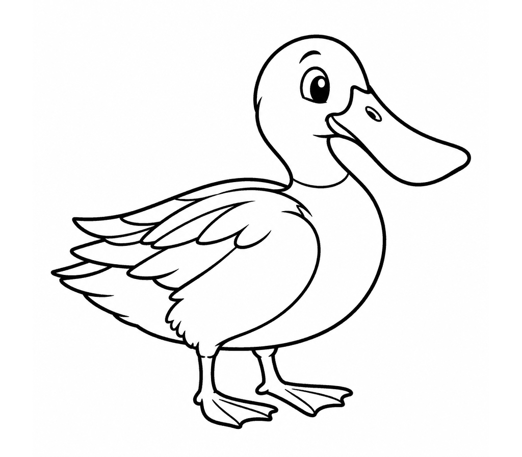 Northern Shoveler coloring page