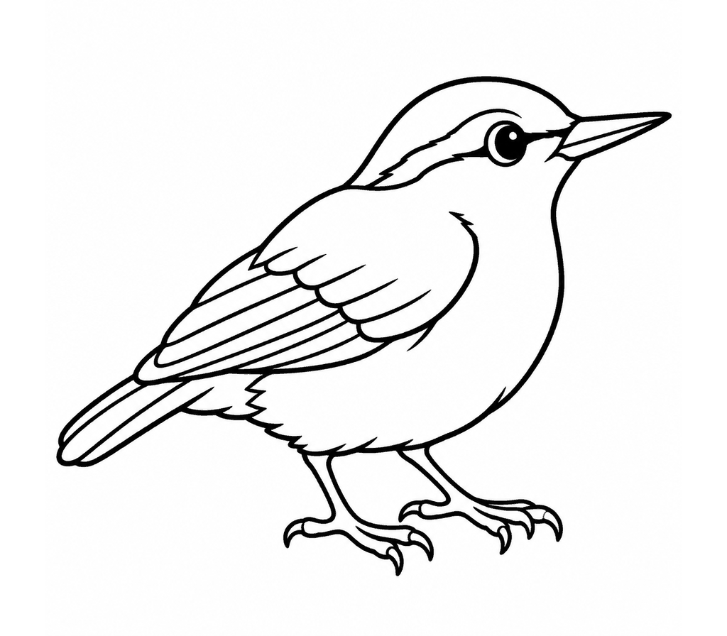 Nuthatch coloring page