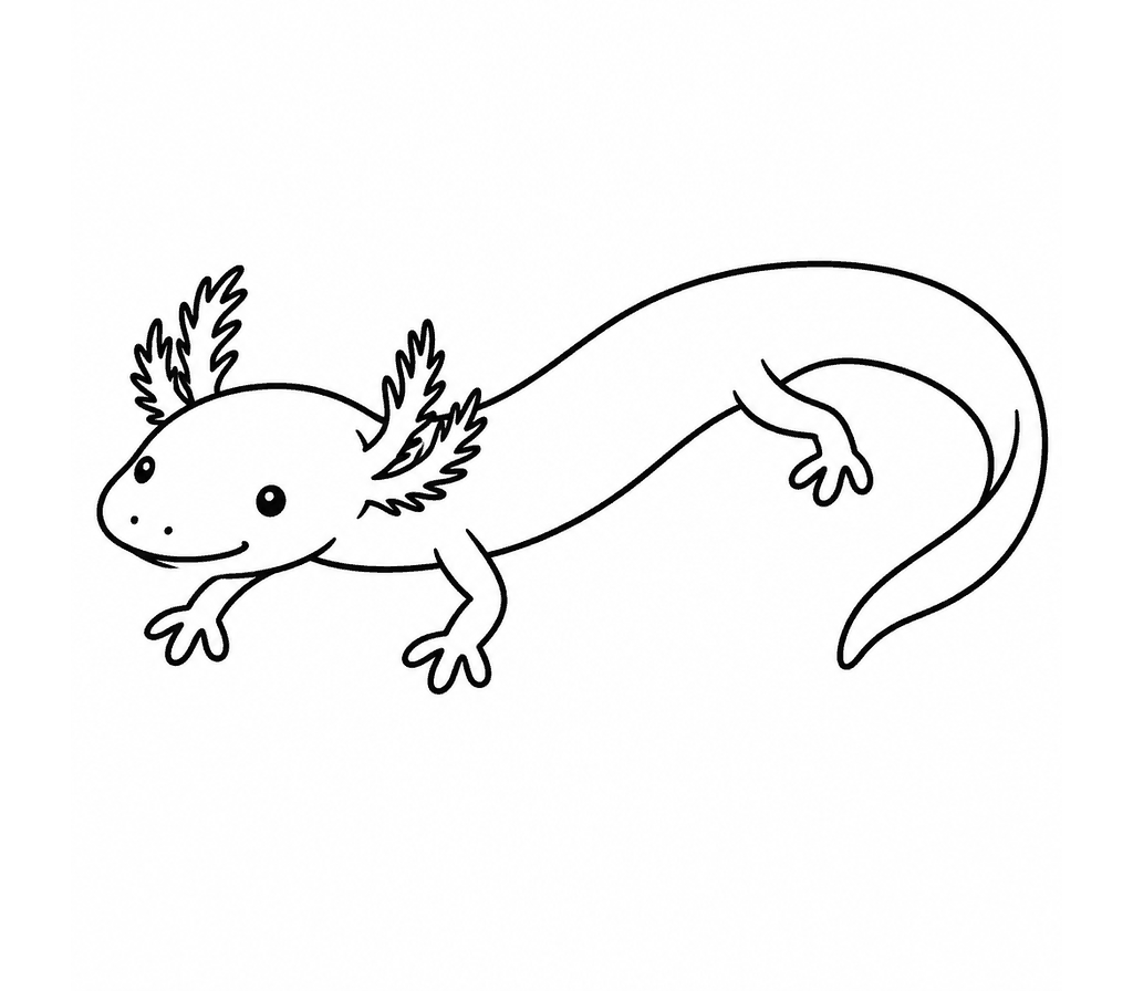 Olm coloring page