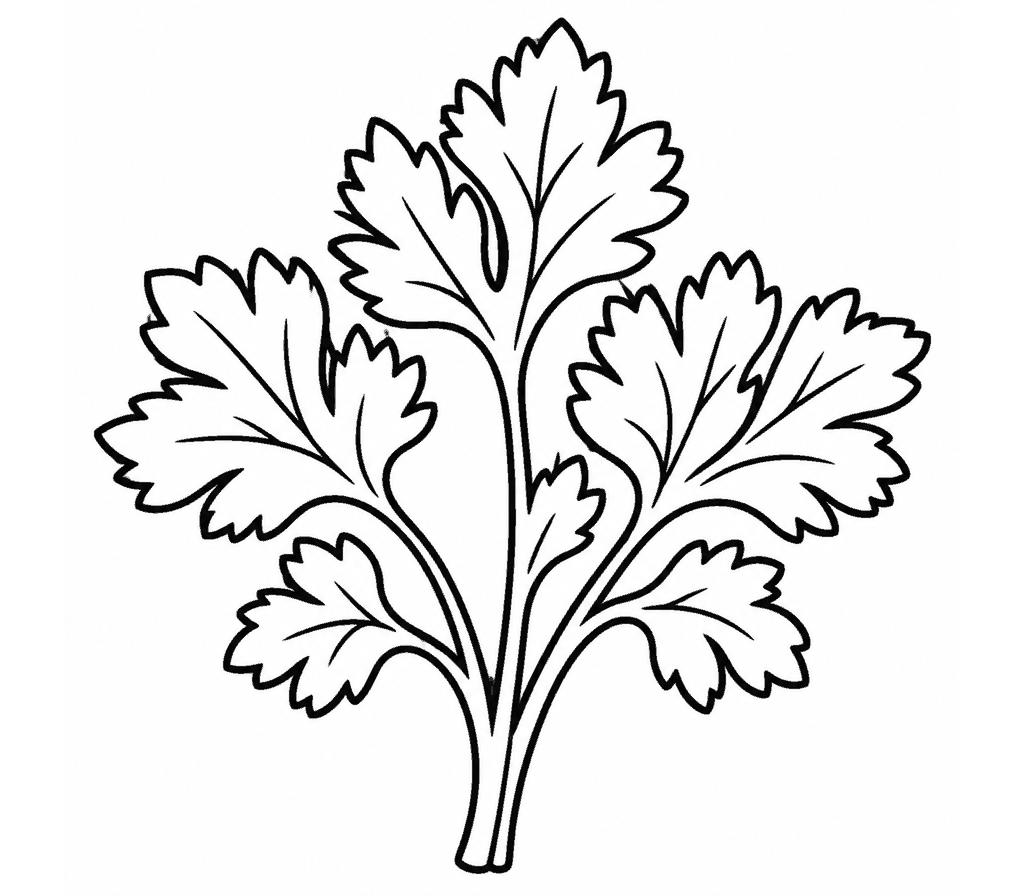 Parsley coloring page