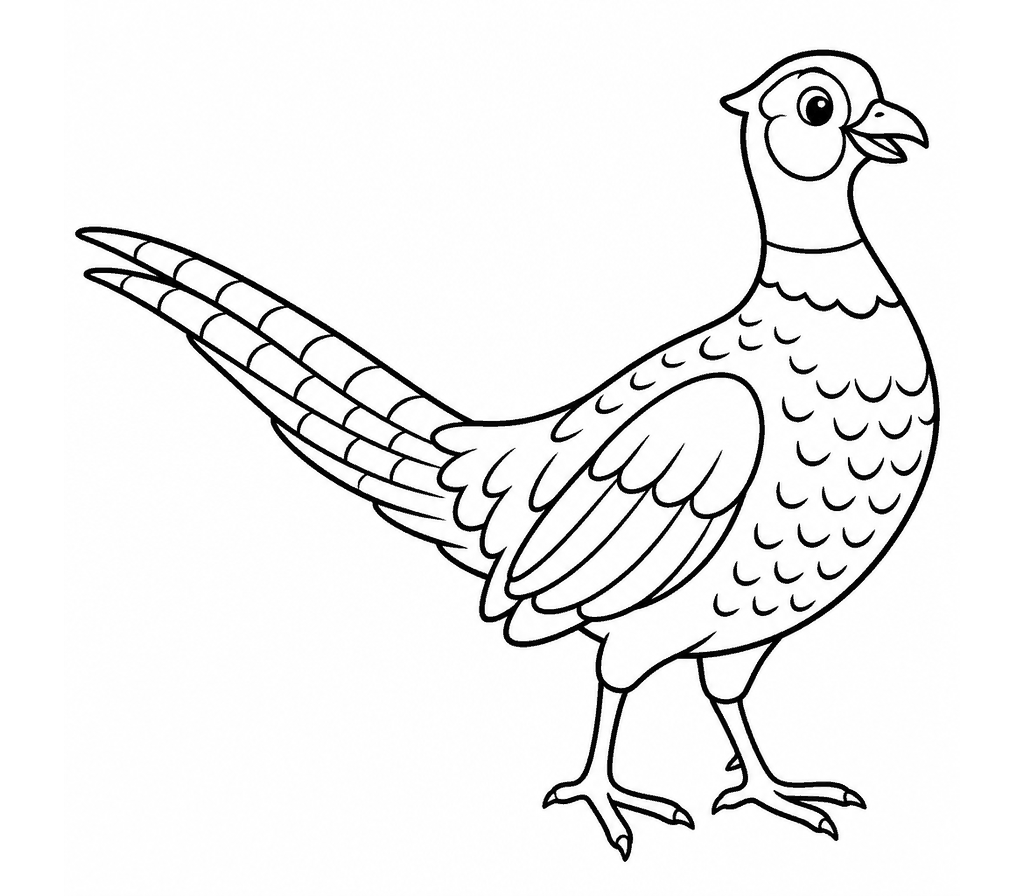 Pheasant coloring page
