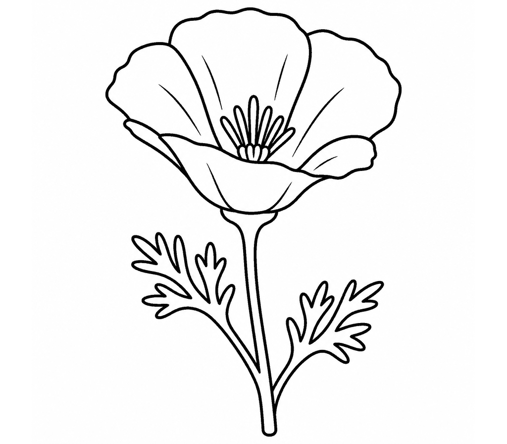 Poppy (California) coloring page